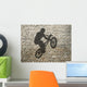 BMX Rider Shadow on Wall (Right) Wall Decal
