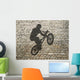 BMX Rider Shadow on Wall (Right) Wall Decal
