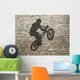BMX Rider Shadow on Wall (Right) Wall Decal