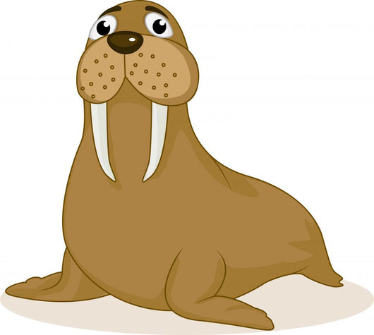 Walrus Cartoon Wall Decal