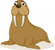 Walrus Cartoon Wall Decal