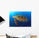 Green Turtle Swimming Wall Decal