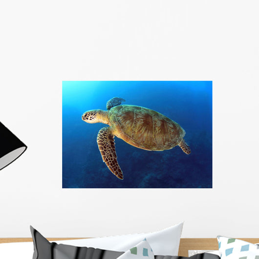 Green Turtle Swimming Wall Decal