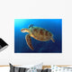 Green Turtle Swimming Wall Decal