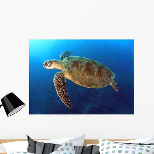 Green Turtle Swimming Wall Decal