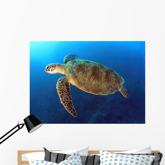 Green Turtle Swimming Wall Decal
