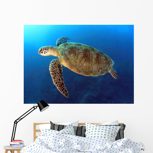 Green Turtle Swimming Wall Decal