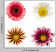 Four Flowers Wall Stickers Wall Decal