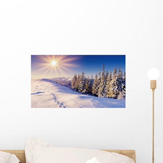 Wall Decal