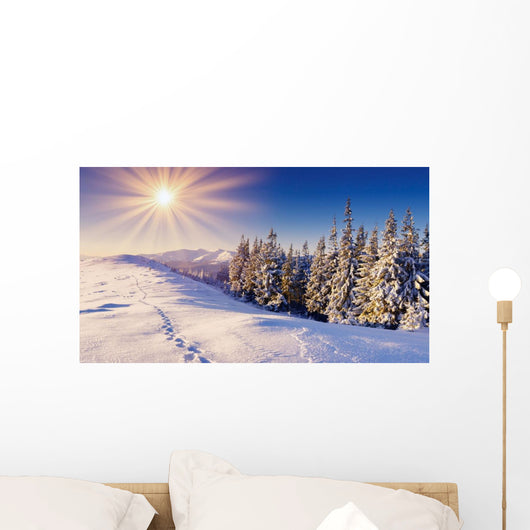 Wall Decal