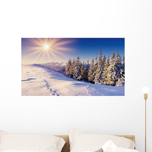 Wall Decal