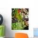 Red and Green Parrot Wall Decal