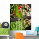 Red and Green Parrot Wall Decal