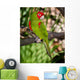 Red and Green Parrot Wall Decal