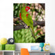 Red and Green Parrot Wall Decal