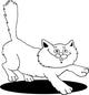 Running Fluffy Cat Fot Wall Decal