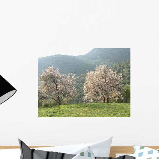 Almond Trees Wall Decal