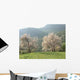 Almond Trees Wall Decal
