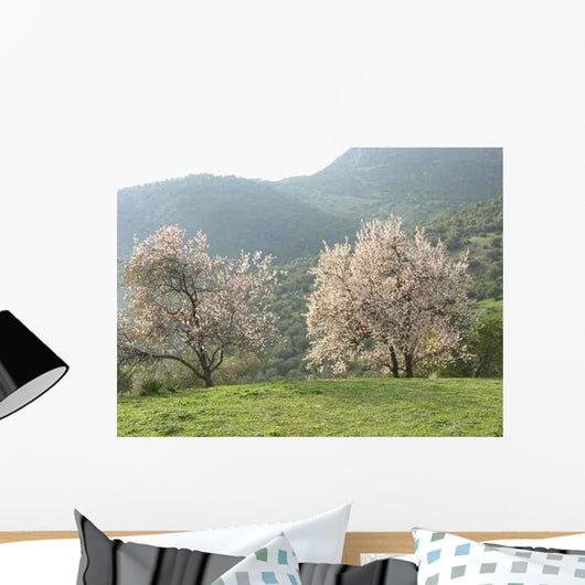 Almond Trees Wall Decal