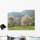 Almond Trees Wall Decal