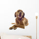 Vizsla Wall Decal