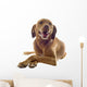 Vizsla Wall Decal
