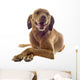 Vizsla Wall Decal