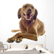 Vizsla Wall Decal
