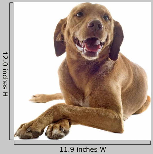 Vizsla Wall Decal