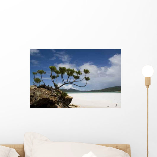 Beach Landscape Wall Decal