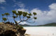 Beach Landscape Wall Decal