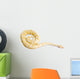 Burmese Python Wall Decal