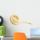 Burmese Python Wall Decal