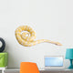Burmese Python Wall Decal