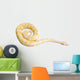 Burmese Python Wall Decal