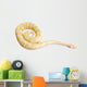Burmese Python Wall Decal