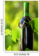 Bottle Wine between Grapevine Wall Decal