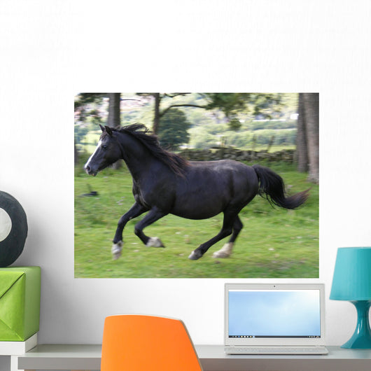 Black Horse Running Wall Decal