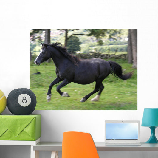 Black Horse Running Wall Decal