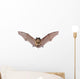 Bat Fly Wall Decal