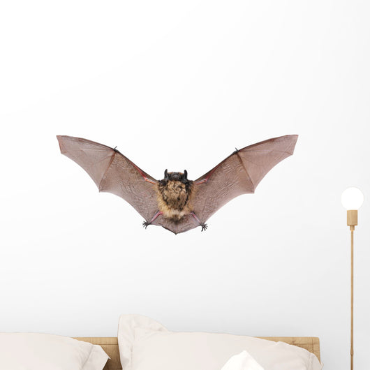 Bat Fly Wall Decal