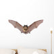 Bat Fly Wall Decal