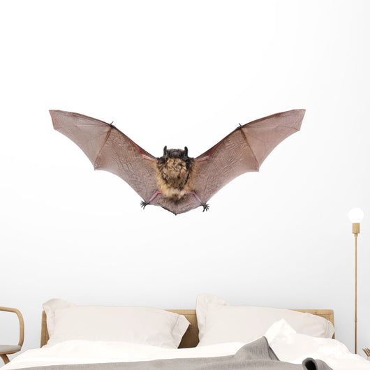 Bat Fly Wall Decal