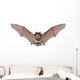 Bat Fly Wall Decal