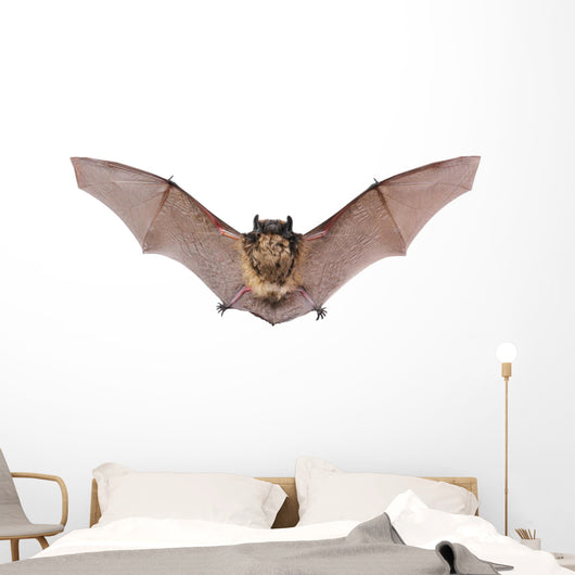 Bat Fly Wall Decal