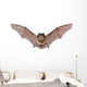 Bat Fly Wall Decal