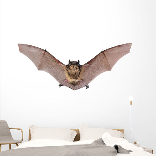 Bat Fly Wall Decal
