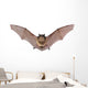 Bat Fly Wall Decal