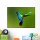 Hummingbird Wall Decal