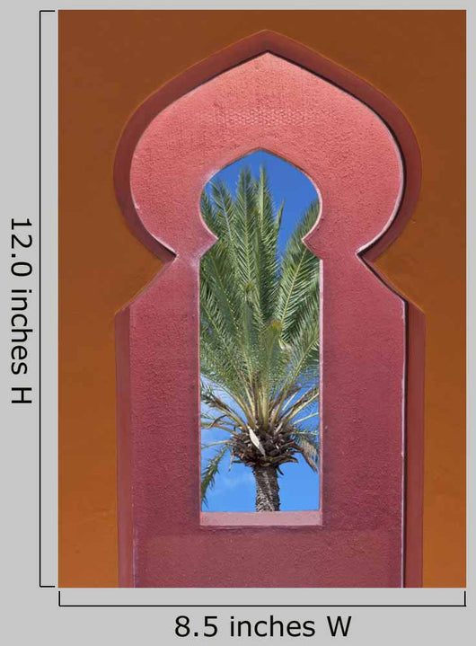 Moroccan Window Date Palm Wall Decal